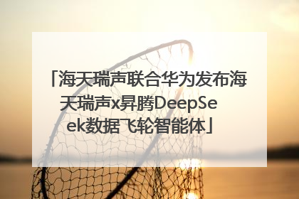 海天瑞声联合华为发布海天瑞声x昇腾DeepSeek数据飞轮智能体