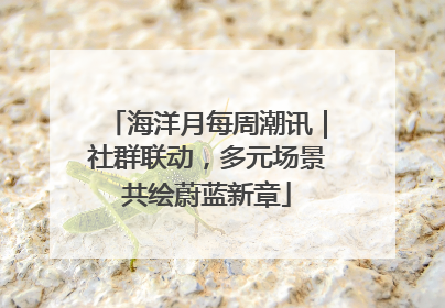 海洋月每周潮讯｜社群联动，多元场景共绘蔚蓝新章