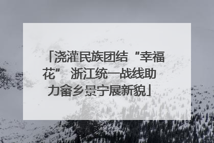 浇灌民族团结“幸福花” 浙江统一战线助力畲乡景宁展新貌