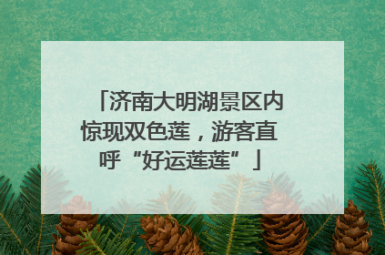 济南大明湖景区内惊现双色莲，游客直呼“好运莲莲”