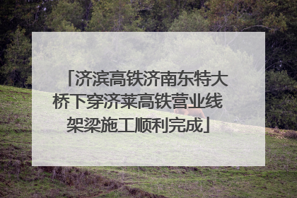 济滨高铁济南东特大桥下穿济莱高铁营业线架梁施工顺利完成