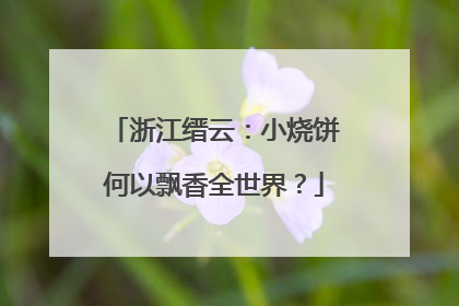 浙江缙云：小烧饼何以飘香全世界？