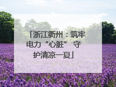 浙江衢州：筑牢电力“心脏” 守护清凉一夏