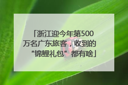浙江迎今年第500万名广东旅客，收到的“锦鲤礼包”都有啥