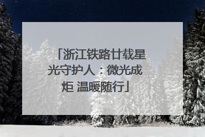 浙江铁路廿载星光守护人：微光成炬 温暖随行