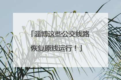 淄博这些公交线路恢复原线运行！