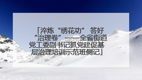 淬炼“绣花功” 答好“治理卷”——全省街道党工委副书记抓党建促基层治理培训示范班侧记