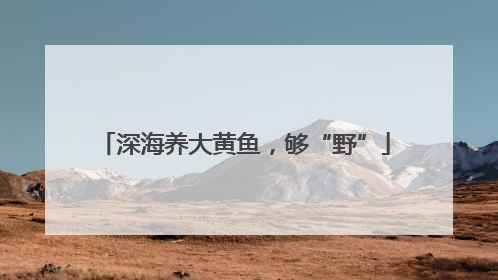 深海养大黄鱼，够“野”