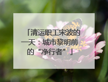 清运职工宋波的一天：城市黎明前的“净行者”