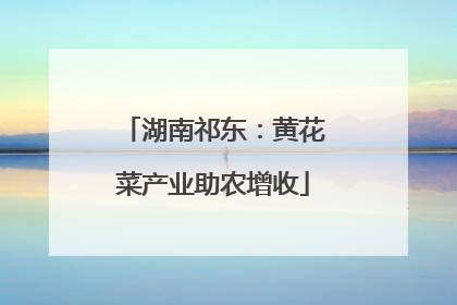 湖南祁东：黄花菜产业助农增收