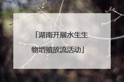 湖南开展水生生物增殖放流活动