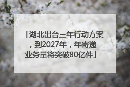 湖北出台三年行动方案，到2027年，年寄递业务量将突破80亿件
