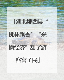 湖北郧西县“桃林飘香”“采摘经济”甜了游客富了民