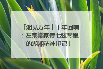 湘见万年丨千年回响：左宗棠家传七弦琴里的湖湘精神印记