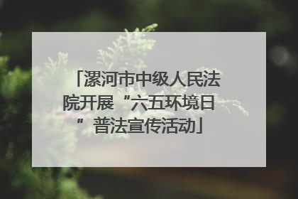 漯河市中级人民法院开展“六五环境日”普法宣传活动