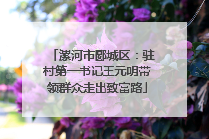 漯河市郾城区：驻村第一书记王元明带领群众走出致富路