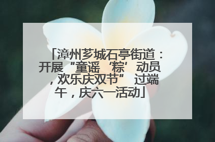 漳州芗城石亭街道：开展“童谣‘粽’动员，欢乐庆双节” 过端午，庆六一活动