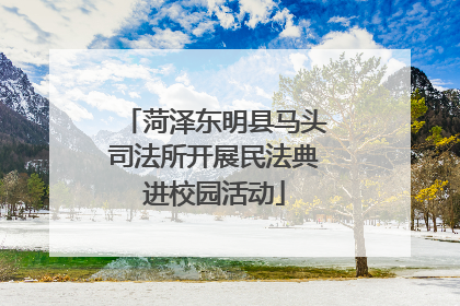 菏泽东明县马头司法所开展民法典进校园活动