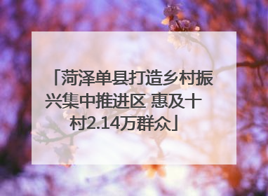 菏泽单县打造乡村振兴集中推进区 惠及十村2.14万群众