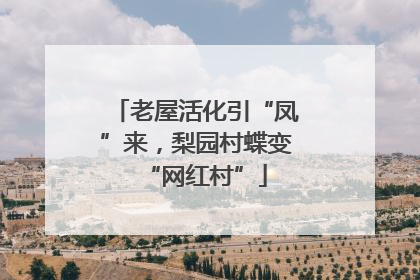 老屋活化引“凤”来，梨园村蝶变“网红村”