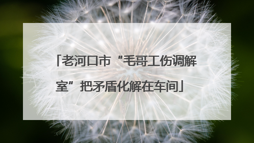 老河口市“毛哥工伤调解室”把矛盾化解在车间