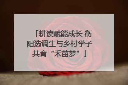耕读赋能成长 衡阳选调生与乡村学子共育“禾苗梦”