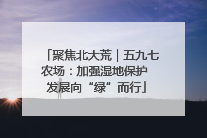 聚焦北大荒｜五九七农场：加强湿地保护 发展向“绿”而行