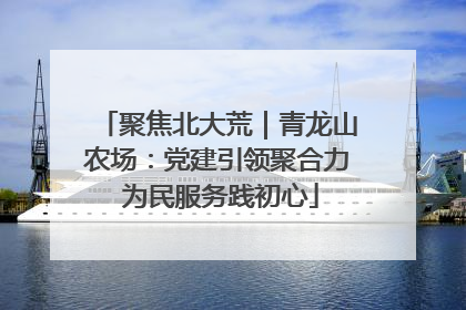 聚焦北大荒｜青龙山农场：党建引领聚合力 为民服务践初心