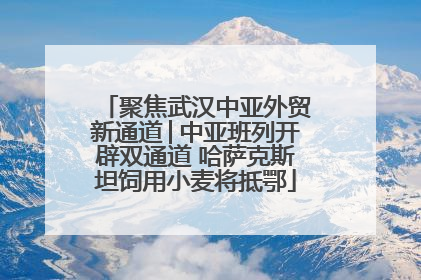 聚焦武汉中亚外贸新通道│中亚班列开辟双通道 哈萨克斯坦饲用小麦将抵鄂