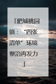 肥城桃园镇：“四张清单”环境整治再发力