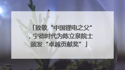 致敬“中国锂电之父”，宁德时代为陈立泉院士颁发“卓越贡献奖”