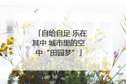 自给自足 乐在其中 城市里的空中“田园梦”
