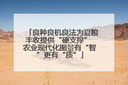 良种良机良法为夏粮丰收提供“硬支撑” 农业现代化图景有“智”更有“质”