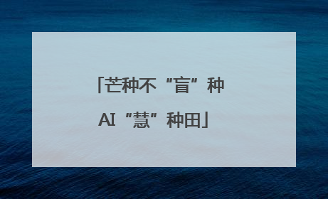 芒种不“盲”种 AI“慧”种田