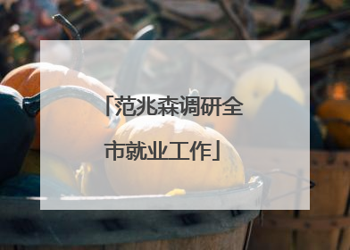 范兆森调研全市就业工作