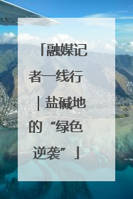 融媒记者一线行｜盐碱地的“绿色逆袭”