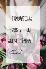 融媒记者一线行｜果蔬的“智能生活”