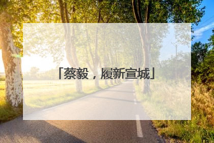 蔡毅，履新宣城