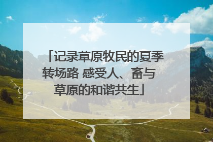 记录草原牧民的夏季转场路 感受人、畜与草原的和谐共生