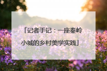 记者手记：一座秦岭小城的乡村美学实践