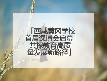 西咸黄冈学校首届课博会启幕 共探教育高质量发展新路径