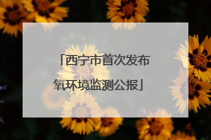 西宁市首次发布氧环境监测公报