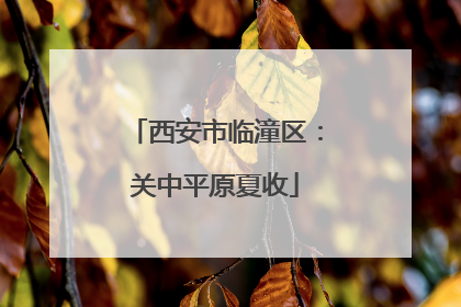 西安市临潼区：关中平原夏收