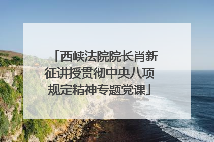 西峡法院院长肖新征讲授贯彻中央八项规定精神专题党课