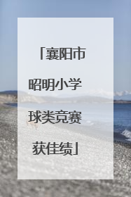 襄阳市昭明小学球类竞赛获佳绩
