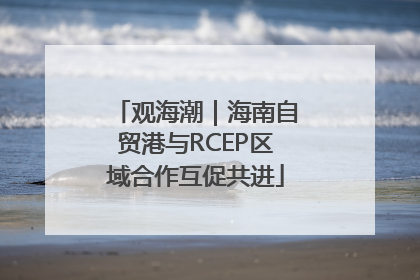 观海潮｜海南自贸港与RCEP区域合作互促共进