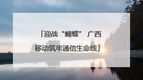 迎战“蝴蝶” 广西移动筑牢通信生命线