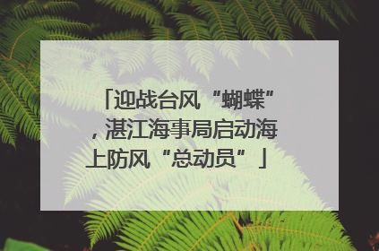 迎战台风“蝴蝶”，湛江海事局启动海上防风“总动员”