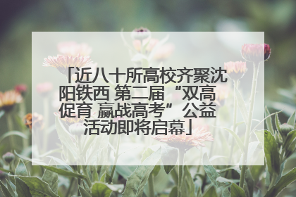近八十所高校齐聚沈阳铁西 第二届“双高促育 赢战高考”公益活动即将启幕