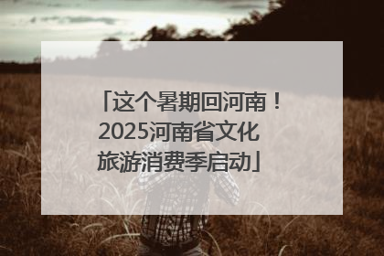 这个暑期回河南！2025河南省文化旅游消费季启动